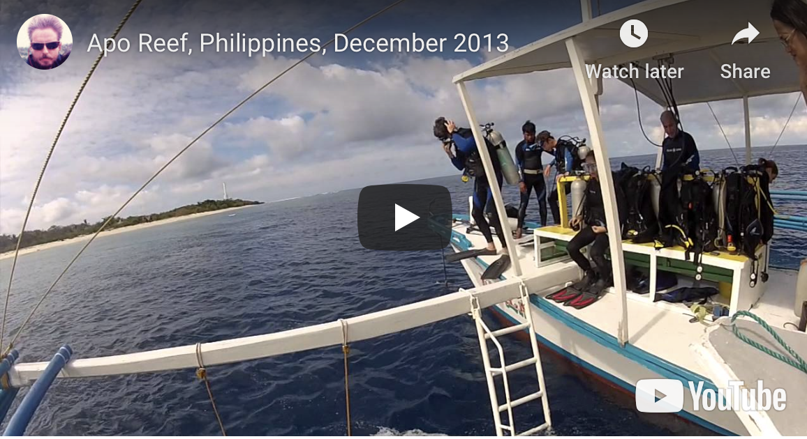 Apo Reef, Christmas 2013