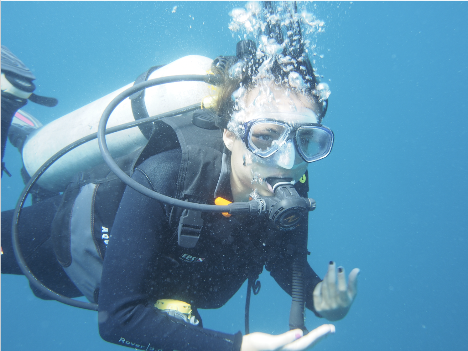 Apo reef diving, and getting shipwrecked